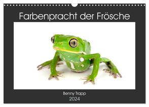 Farbenpracht der Frösche (Wandkalender 2024 DIN A3 quer), CALVENDO Monatskalender von Trapp,  Benny