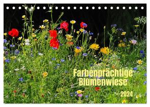 Farbenprächtige Blumenwiese (Tischkalender 2024 DIN A5 quer), CALVENDO Monatskalender von Seidel,  Thilo