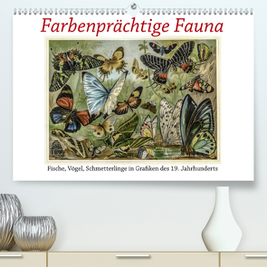 Farbenprächtige Fauna. Fische, Vögel, Schmetterlinge in Grafiken des 19 Jahrhunderts (Premium, hochwertiger DIN A2 Wandkalender 2021, Kunstdruck in Hochglanz) von Galle,  Jost