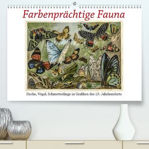 Farbenprächtige Fauna. Fische, Vögel, Schmetterlinge in Grafiken des 19 Jahrhunderts (Premium, hochwertiger DIN A2 Wandkalender 2023, Kunstdruck in Hochglanz) von Galle,  Jost