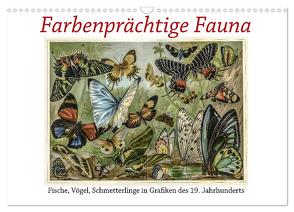 Farbenprächtige Fauna. Fische, Vögel, Schmetterlinge in Grafiken des 19 Jahrhunderts (Wandkalender 2024 DIN A3 quer), CALVENDO Monatskalender von Galle,  Jost