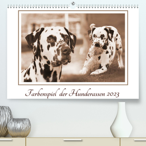 Farbenspiel der Hunderassen (Premium, hochwertiger DIN A2 Wandkalender 2023, Kunstdruck in Hochglanz) von Mielewczyk,  Barbara