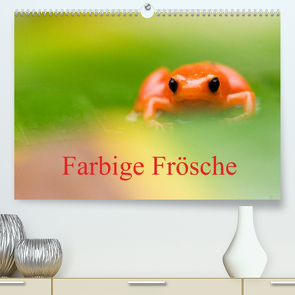 Farbige Frösche (Premium, hochwertiger DIN A2 Wandkalender 2023, Kunstdruck in Hochglanz) von Giesbers,  Edwin