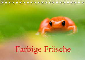 Farbige Frösche (Tischkalender 2023 DIN A5 quer) von Giesbers,  Edwin