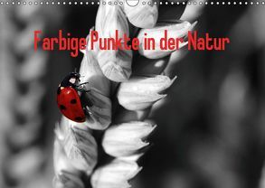 Farbige Punkte in der Natur / Geburtstagskalender (Wandkalender 2019 DIN A3 quer) von Poetsch,  Rolf