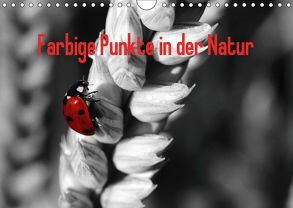 Farbige Punkte in der Natur / Geburtstagskalender (Wandkalender 2019 DIN A4 quer) von Poetsch,  Rolf