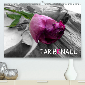 FARBKNALL (Premium, hochwertiger DIN A2 Wandkalender 2020, Kunstdruck in Hochglanz) von Yles.Photo.Art