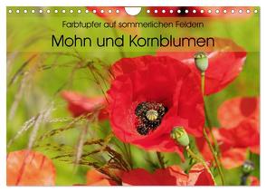 Farbtupfer auf sommerlichen Feldern – Mohn und Kornblumen (Wandkalender 2024 DIN A4 quer), CALVENDO Monatskalender von Frost,  Anja