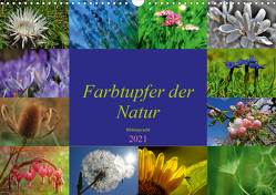 Farbtupfer der Natur – Blütenpracht (Wandkalender 2021 DIN A3 quer) von Michel,  Susan