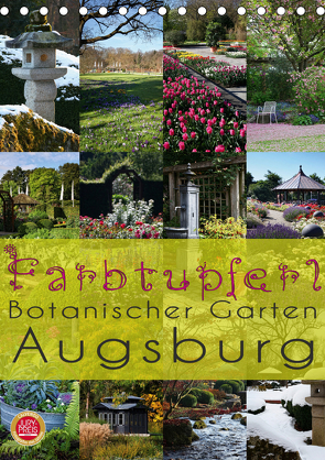 Farbtupferl – Botanischer Garten Augsburg (Tischkalender 2021 DIN A5 hoch) von Cross,  Martina