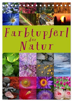 Farbtupferl der Natur (Tischkalender 2024 DIN A5 hoch), CALVENDO Monatskalender von Cross,  Martina