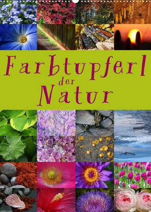 Farbtupferl der Natur (Wandkalender 2023 DIN A2 hoch) von Cross,  Martina