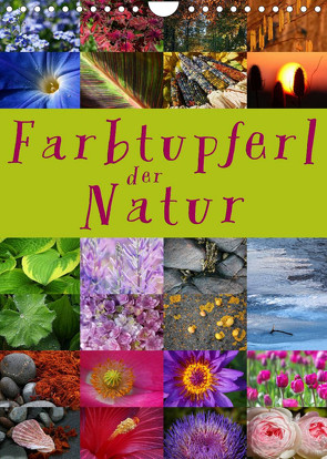 Farbtupferl der Natur (Wandkalender 2023 DIN A4 hoch) von Cross,  Martina