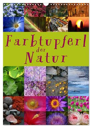 Farbtupferl der Natur (Wandkalender 2024 DIN A3 hoch), CALVENDO Monatskalender von Cross,  Martina