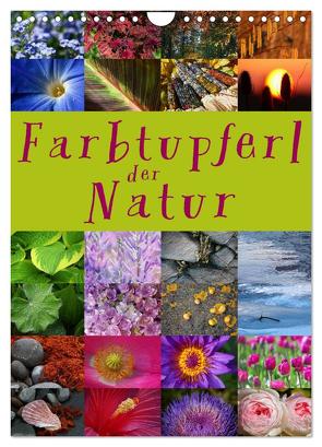 Farbtupferl der Natur (Wandkalender 2024 DIN A4 hoch), CALVENDO Monatskalender von Cross,  Martina