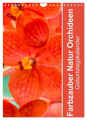 Farbzauber Natur Orchideen – Geburtstagskalender (Wandkalender 2024 DIN A4 hoch), CALVENDO Monatskalender von Paul - Babett's Bildergalerie,  Babett
