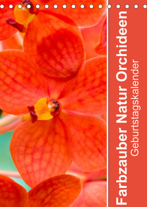 Farbzauber Natur Orchideen – GeburtstagskalenderAT-Version (Tischkalender 2023 DIN A5 hoch) von Paul - Babett's Bildergalerie,  Babett