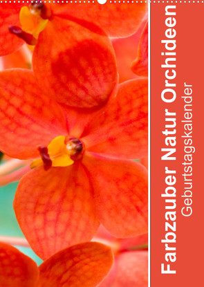 Farbzauber Natur Orchideen – GeburtstagskalenderAT-Version (Wandkalender 2022 DIN A2 hoch) von Paul - Babett's Bildergalerie,  Babett