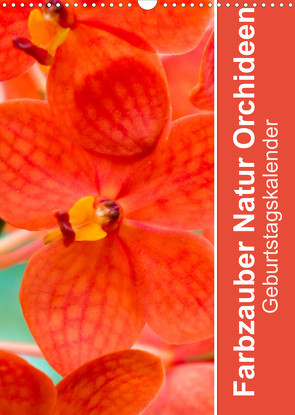 Farbzauber Natur Orchideen – GeburtstagskalenderAT-Version (Wandkalender 2022 DIN A3 hoch) von Paul - Babett's Bildergalerie,  Babett