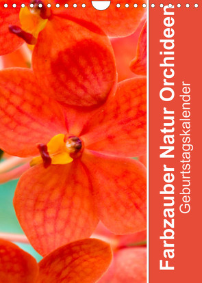Farbzauber Natur Orchideen – GeburtstagskalenderAT-Version (Wandkalender 2022 DIN A4 hoch) von Paul - Babett's Bildergalerie,  Babett