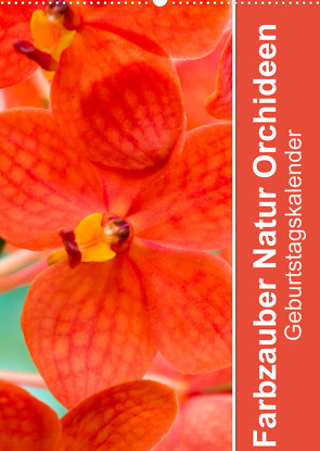 Farbzauber Natur Orchideen – GeburtstagskalenderAT-Version (Wandkalender 2023 DIN A2 hoch) von Paul - Babett's Bildergalerie,  Babett
