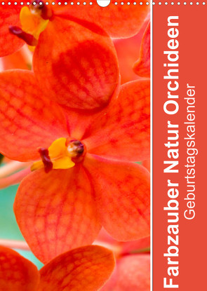 Farbzauber Natur Orchideen – GeburtstagskalenderAT-Version (Wandkalender 2023 DIN A3 hoch) von Paul - Babett's Bildergalerie,  Babett