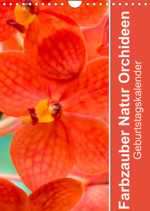 Farbzauber Natur Orchideen – GeburtstagskalenderAT-Version (Wandkalender 2023 DIN A4 hoch) von Paul - Babett's Bildergalerie,  Babett