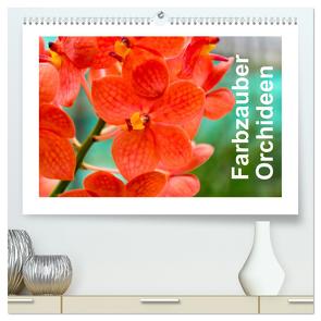 Farbzauber Orchideen (hochwertiger Premium Wandkalender 2024 DIN A2 quer), Kunstdruck in Hochglanz von Paul - Babett's Bildergalerie,  Babett