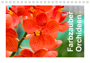 Farbzauber Orchideen (Tischkalender 2021 DIN A5 quer) von Paul - Babett's Bildergalerie,  Babett