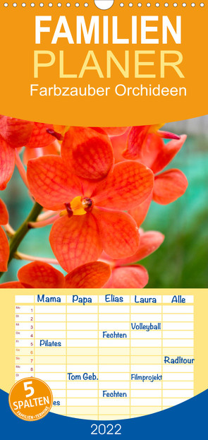 Familienplaner Farbzauber Orchideen (Wandkalender 2022 , 21 cm x 45 cm, hoch) von Paul - Babett's Bildergalerie,  Babett