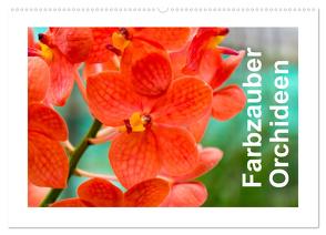 Farbzauber Orchideen (Wandkalender 2024 DIN A2 quer), CALVENDO Monatskalender von Paul - Babett's Bildergalerie,  Babett