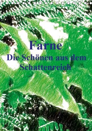 Farne – Die Schönen aus dem Schattenreich (Tischkalender 2019 DIN A5 hoch) von Küster,  Friederike