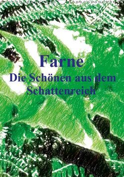 Farne – Die Schönen aus dem Schattenreich (Wandkalender 2019 DIN A3 hoch) von Küster,  Friederike