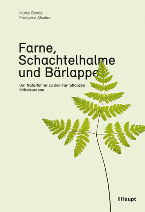 Farne, Schachtelhalme und Bärlappe von Alsaker,  Francoise, Bendel,  Muriel