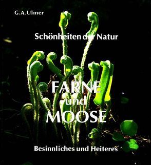 Farne und Moose von Ulmer,  Günter A.