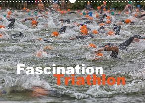 Fascination Triathlon (Wandkalender 2019 DIN A3 quer) von Will,  Hans