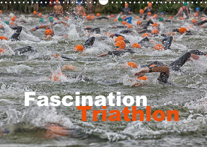 Fascination Triathlon (Wandkalender 2020 DIN A3 quer) von Will,  Hans