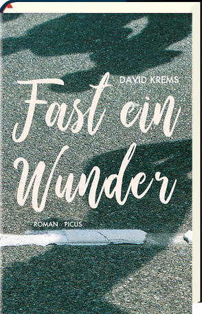 Fast ein Wunder von Krems,  David