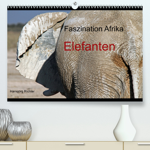 Faszination Afrika – Elefanten (Premium, hochwertiger DIN A2 Wandkalender 2021, Kunstdruck in Hochglanz) von Richter,  Hansjörg