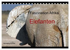 Faszination Afrika – Elefanten (Tischkalender 2024 DIN A5 quer), CALVENDO Monatskalender von Richter,  Hansjörg