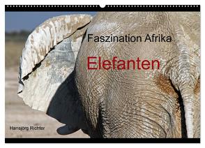 Faszination Afrika – Elefanten (Wandkalender 2024 DIN A2 quer), CALVENDO Monatskalender von Richter,  Hansjörg