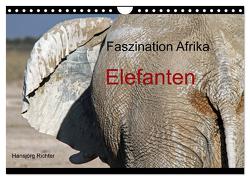 Faszination Afrika – Elefanten (Wandkalender 2024 DIN A4 quer), CALVENDO Monatskalender von Richter,  Hansjörg