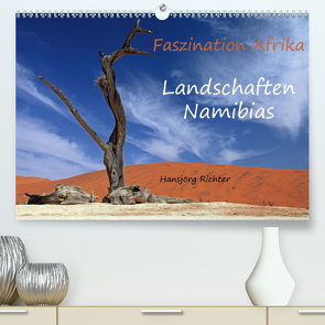 Faszination Afrika – Landschaften Namibias (Premium, hochwertiger DIN A2 Wandkalender 2021, Kunstdruck in Hochglanz) von Richter,  Hansjörg