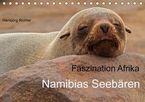 Faszination Afrika – Namibias Seebären (Tischkalender 2019 DIN A5 quer) von Richter,  Hansjörg