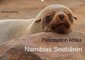 Faszination Afrika – Namibias Seebären (Wandkalender 2019 DIN A2 quer) von Richter,  Hansjörg