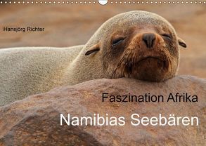 Faszination Afrika – Namibias Seebären (Wandkalender 2019 DIN A3 quer) von Richter,  Hansjörg