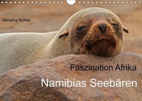 Faszination Afrika – Namibias Seebären (Wandkalender 2019 DIN A4 quer) von Richter,  Hansjörg