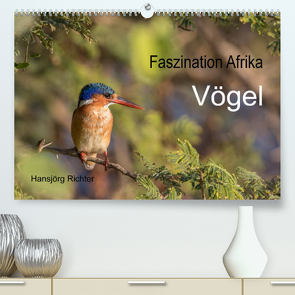 Faszination Afrika – Vögel (Premium, hochwertiger DIN A2 Wandkalender 2022, Kunstdruck in Hochglanz) von www.hjr-fotografie.de