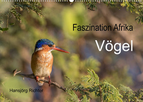 Faszination Afrika – Vögel (Wandkalender 2022 DIN A2 quer) von www.hjr-fotografie.de