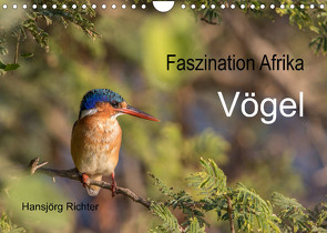 Faszination Afrika – Vögel (Wandkalender 2023 DIN A4 quer) von www.hjr-fotografie.de